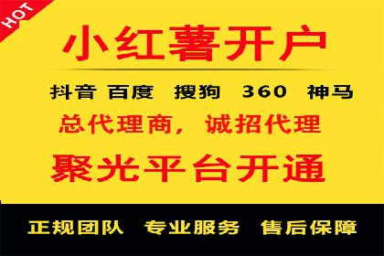 整合SEO与SEM，打造品牌营销新模式——案例研究
